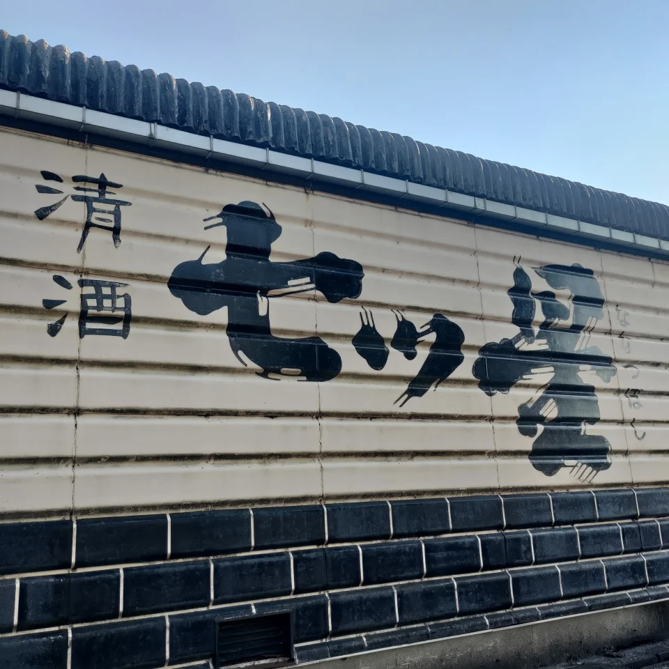井波酒造（株）